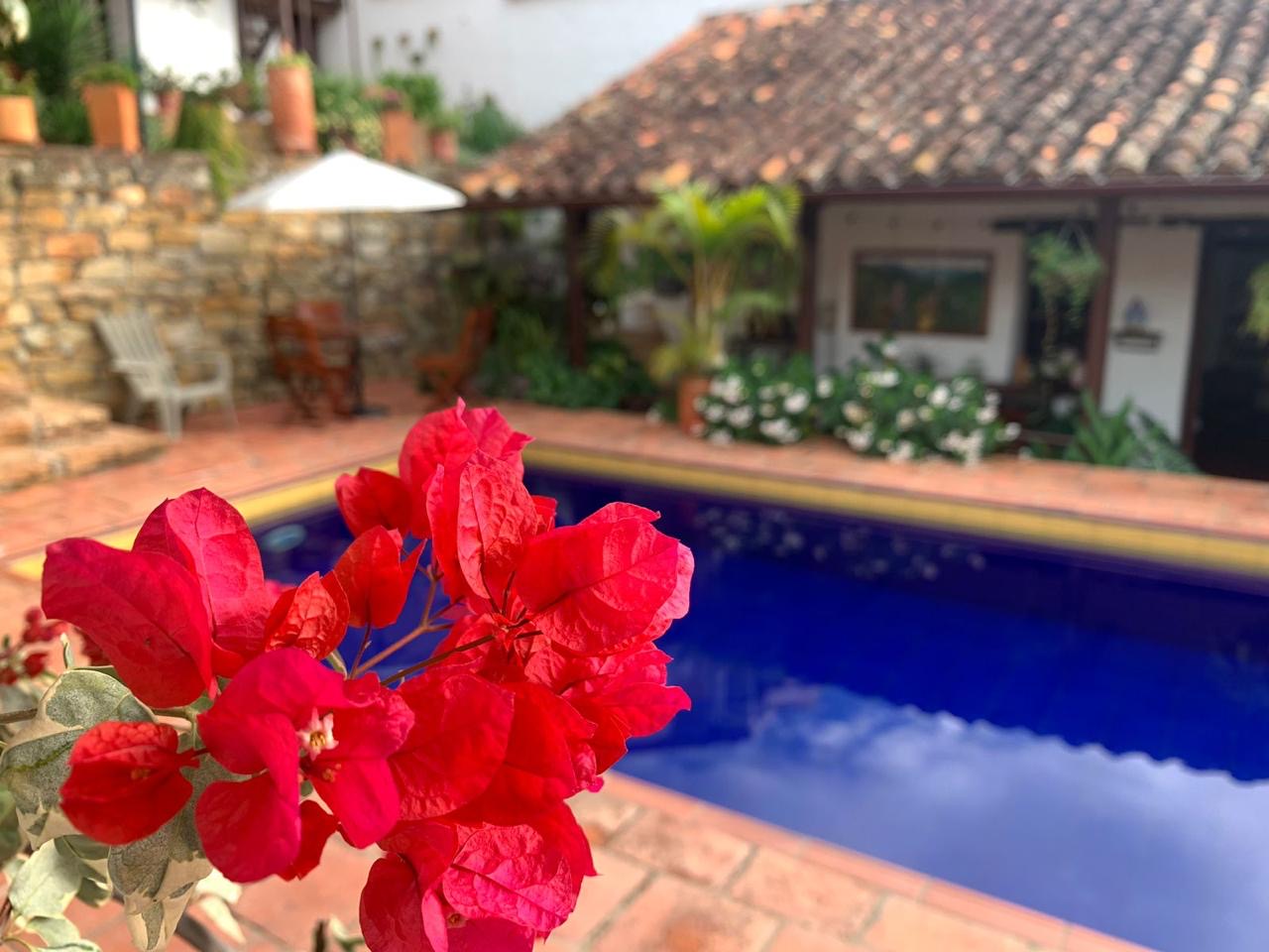 Buganvilia roja en primer plano y la piscina azul detrás, rodeada de tejados de barro.